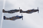 Mustangs 'Contrary Mary', 'Miss Helen' and 'The Hun Hunter' 4553